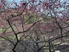 -黄公望隐居地