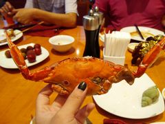 -视界美食自助餐厅·石家庄希尔顿酒店