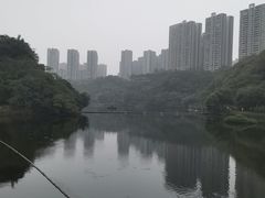 -重庆彩云湖湿地公园