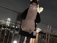 -台场海滨公园船码头