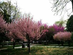-陕西师范大学(雁塔校区)