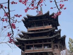 -杭州半山国家森林公园