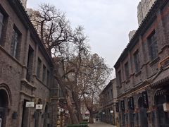 -绿地·中山里