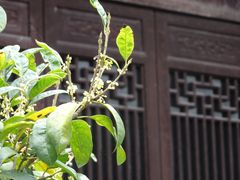 -浙江省博物馆(孤山馆区)