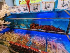 水产区-渔家风味·鲅鱼水饺·央视展播·海鲜天津菜(开发区店)