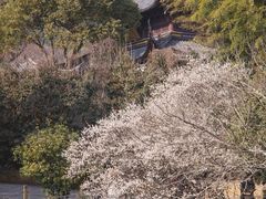 -宝岩生态观光园