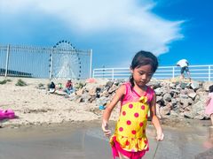 -秦皇岛乐岛海洋王国