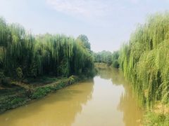 -赵州桥景区