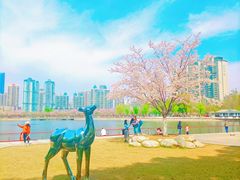 -西北湖绿化广场