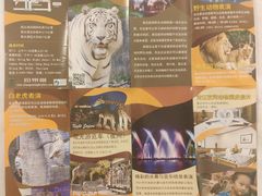 -清迈夜间动物园