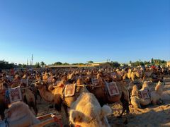 -斯玛特儿童美术中心(文化中心店)