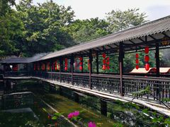 -侨美·唐荔园·40年地道粤菜