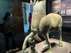 -广西壮族自治区博物馆