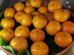 -姜胖胖无限自助烤肉(弹子石店)