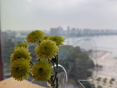 -洄归山也·高空C位湖景下午茶(东方之门店)