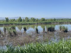 -野鸭湖国家湿地公园