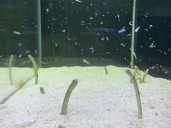 -沈阳海洋探索中心