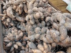 -台山第一家兴华黄鳝饭·黄鳝婆(合水分店)