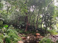 -成都市活水公园