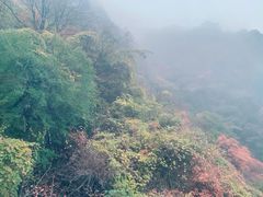 -少华山国家森林公园