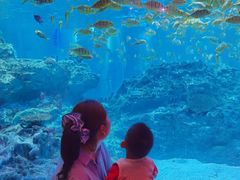 -海合安成都极地海洋公园