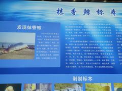 -上海海洋大学鱼文化博物馆(军工路校区)