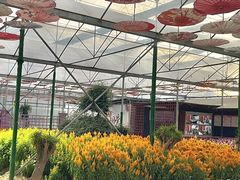 -广东花都香草世界旅游度假区