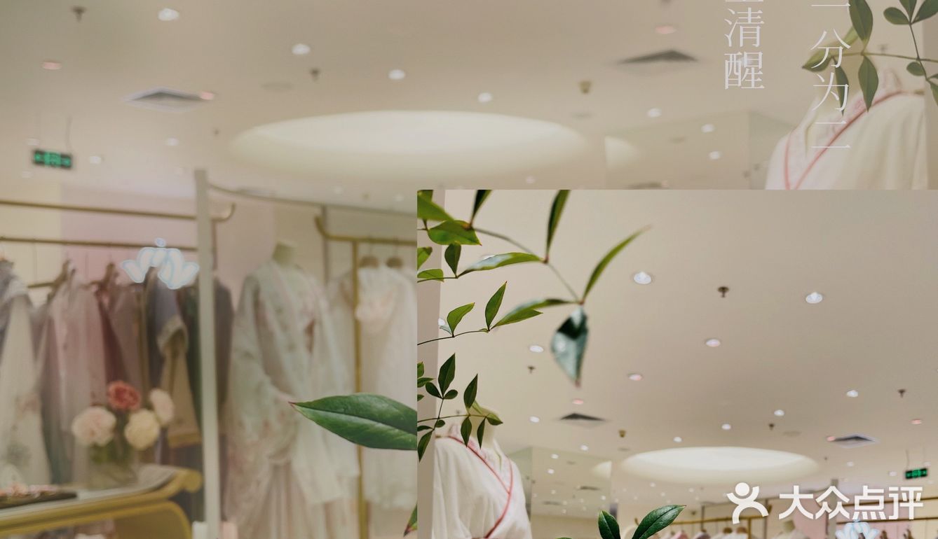是倾城，是浮莲，是芙蓉
