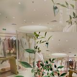 是倾城，是浮莲，是芙蓉