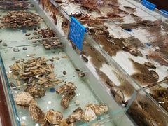 -蓝港海鲜厨房(金水路店)
