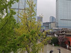 -柴门饭儿(成都太古里店)