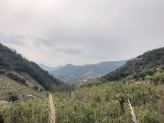 -莫干山郡安里度假酒店-桃尖中餐厅