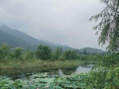 -田峪河公园