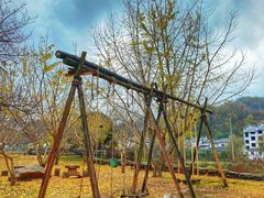 -千年银杏谷文化旅游区