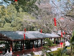 -乌山风景区