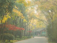 -长广溪湿地公园