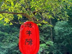 -石台牯牛降景区