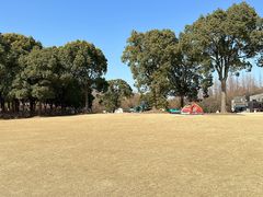 -上海滨江森林公园