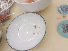 -老昌春饼(迅驰广场店)