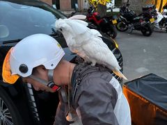 -宜昌下牢溪