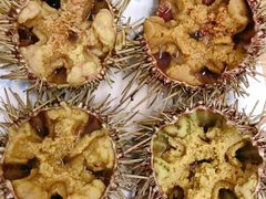 生海胆-海胆小馆(东北水饺·春柳店)