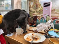 -猫小院猫主题咖啡厅(北锣店)