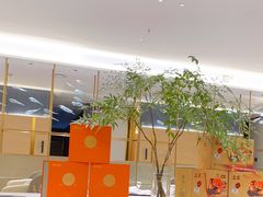 -红鼎豆捞·非遗鲍皇汤火锅(宝丰路店)