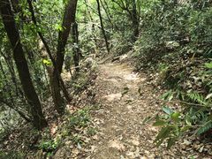 -杭州半山国家森林公园