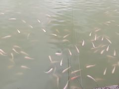 -谷丰健康凤贤居酒家