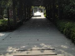 -白马涧龙池景区