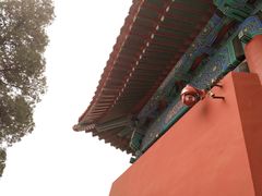 -眉州东坡(民族园店)