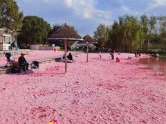 -上海杨姆庄园