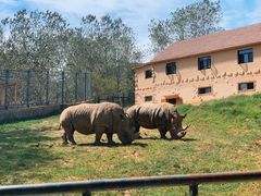 -大连森林动物园