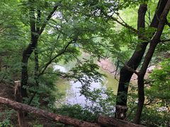 -井塘古村